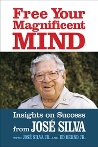 Free Your Magnificent Mind: Insights on Success cover