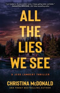 All The Lies We See cover