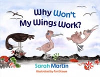 Why Won't My Wings Work?: recognising your own abilities cover