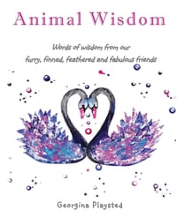 Animal Wisdom cover