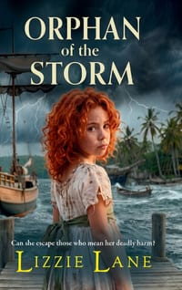 Orphan of the Storm cover