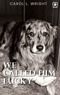 We Called Him Lucky cover