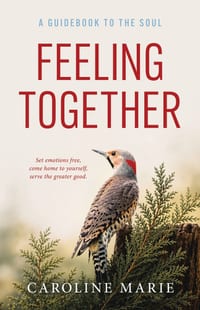 Feeling Together: A Guidebook to the Soul cover