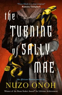 The Turning of Sally-Mae cover