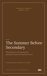 The Summer Before Secondary cover