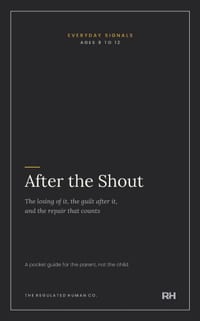 After the Shout cover