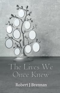 The Lives We Once Knew cover