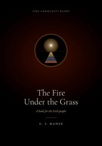 The Fire Under the Grass: A book for the Irish people cover