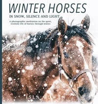 Winter Horses In Snow, Silence and Light: A photographic meditation on the quiet, resilient life of horses through winter. cover