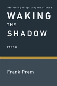 Waking The Shadow: Part II cover