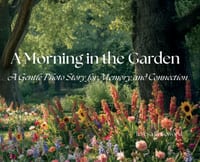 A Morning in the Garden cover