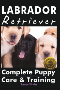 Labrador Retriever: Complete Puppy Care & Training cover