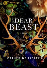 Dear Beast cover