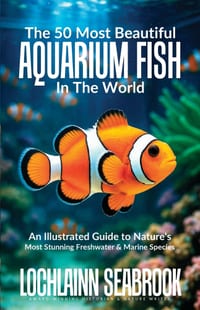 The 50 Most Beautiful Aquarium Fish in the World: An Illustrated Guide to Nature's Most Stunning Freshwater and Marine Species cover