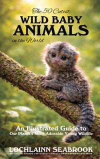 The 50 Cutest Wild Baby Animals in the World: An Illustrated Guide to Our Planet's Most Adorable Young Wildlife cover