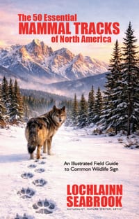 The 50 Essential Mammal Tracks of North America: An Illustrated Field Guide to Common Wildlife Sign cover