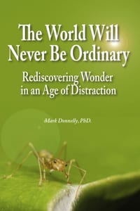 The World Will Never Be Ordinary: Rediscovering Wonder in an Age of Distraction cover