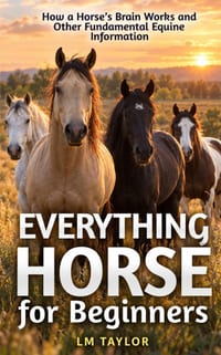 Everything Horse for Beginners cover