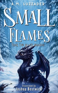 Small Flames: Trak the Black Dragon cover