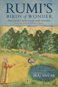 Rumi's Birds of Wonder: The Great Sufi's Life and Poetry (Selections from the Dīvān-E Shams) cover