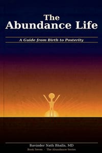 The Abundance Life cover