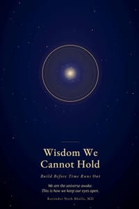 Wisdom We Cannot Hold- Build Before Time Runs Out cover