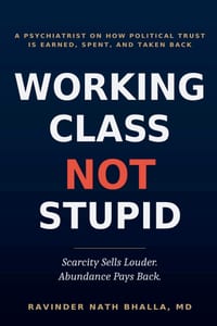 Working Class-Not Stupid cover
