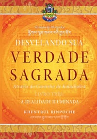 Desvelando Sua Verdade Sagrada, LIVRO TRÊS: A Realidade Iluminada cover