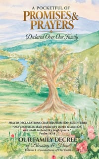 A Pocketful of Promises & Prayers: Declared Over Our Family: OUR FAMILY DECREE of Blessing & Hope, Volume I cover