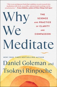 Why We Meditate: The Science and Practice of Clarity and Compassion cover