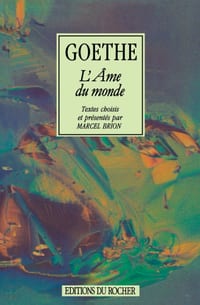 L'âme du monde cover