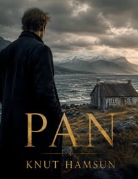 Pan cover
