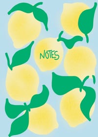 Carnet Citrons cover