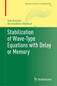 Stabilization of Wave-Type Equations with Delay or Memory cover