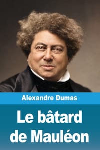 Le bâtard de Mauléon cover
