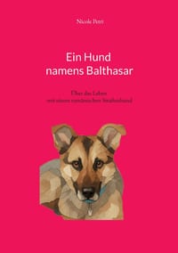 Ein Hund namens Balthasar: Über das Leben mit einem rumänischen Straßenhund cover