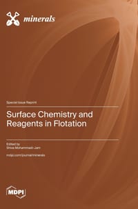 Surface Chemistry and Reagents in Flotation cover