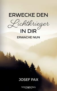 Erwecke den Lichtkrieger in dir: Erwache nun cover