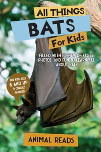 All Things Bats For Kids: Filled With Plenty of Facts, Photos, and Fun to Learn all About Bats cover