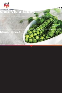 Variations cytomorphologiques induites chez Vicia faba L cover