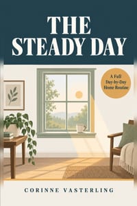 The Steady Day cover