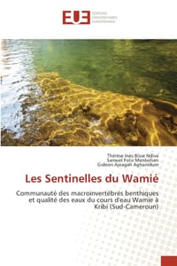 Les Sentinelles du Wamié cover