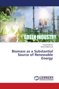 Biomass as a Substantial Source of Renewable Energy cover