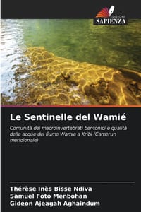 Le Sentinelle del Wamié cover
