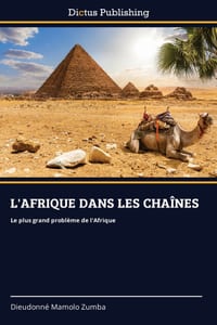 L'Afrique Dans Les Chaînes cover