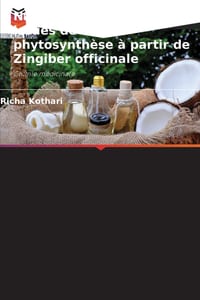 Nanoparticules d'argent issues de la phytosynthèse à partir de Zingiber officinale cover