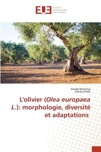 L'olivier (Olea europaea L.): morphologie, diversité et adaptations cover