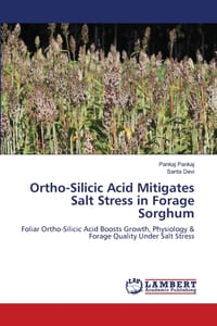 Ortho-Silicic Acid Mitigates Salt Stress in Forage Sorghum cover