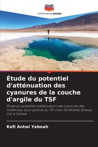 Étude du potentiel d'atténuation des cyanures de la couche d'argile du TSF cover