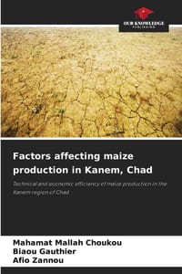 Factors affecting maize production in Kanem, Chad cover